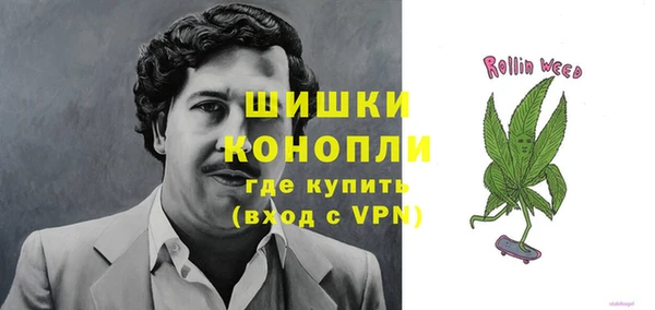 ГАЛЛЮЦИНОГЕННЫЕ ГРИБЫ Каменка