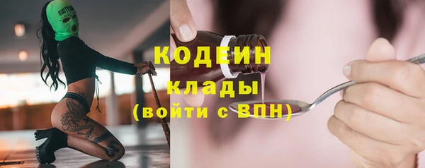 индика Иннополис