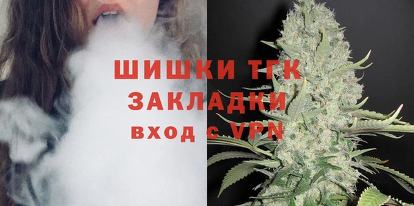 ГАЛЛЮЦИНОГЕННЫЕ ГРИБЫ Каменка