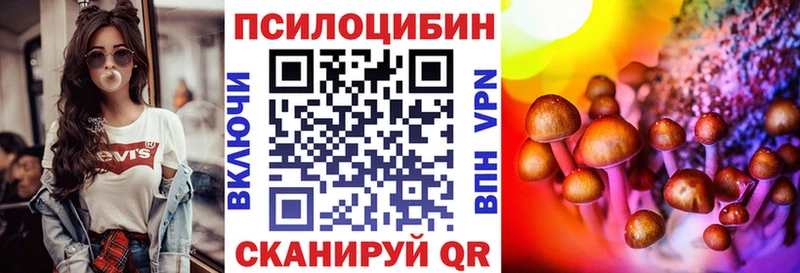 Псилоцибиновые грибы Cubensis  продажа наркотиков  Ковдор 